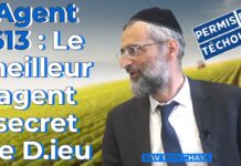 Agent 613 : Le meilleur agent secret de D.ieu : permis de téchouva