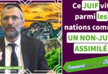 Ce JUIF vit parmi les nations comme UN NON-JUIF ASSIMILÉ … Comment sera-t-il JUGÉ ?
