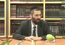 Souccot : comment attacher son Loulav ?