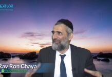 Semence en vain à YOM KIPPOUR : Il n’y a RIEN que nous ne puissions réparer … RIEN !