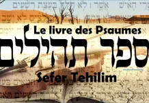 Peut-on lire les Téhilim pendant le jeûne du 9 AV et sous quelles conditions ?