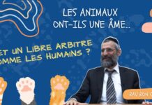 Les animaux ont-ils une ÂME et un LIBRE ARBITRE comme les HUMAINS ?