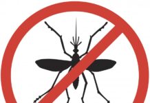 Tuer des moustiques qui risquent de nous piquer, permis ?