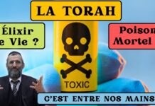La Torah peut-être un élixir de vie ou un poison mortel ? C’est entre nos mains !