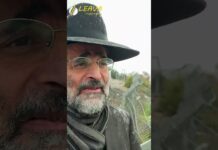 ZOT ‘HANOUKA qui finit bien … Sous une pluie de bénédictions avec le Rav Ron Chaya