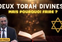 DEUX TORAH DIVINES : Mais pourquoi faire ?