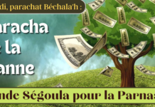 Aujourd’hui, Mardi 23 Janvier 2024 : Grande ségoula pour la parnassa !
