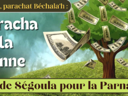 Aujourd’hui, Mardi 23 Janvier 2024 : Grande ségoula pour la parnassa !
