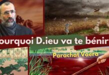 Le pouvoir de la gratitude sur ton bonheur : Pourquoi D.IEU va te bénir – Vaéra