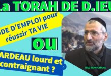 La TORAH DE D.IEU : MODE D’EMPLOI pour réussir TA VIE ou FARDEAU lourd et contraignant ?