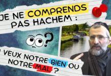 Je ne comprends pas HACHEM : Tu veux notre BIEN ou notre MAL ?