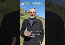 Une B.A. (Bonne Action) quotidienne, ça vient d’où ?