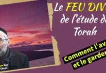 Le FEU DIVIN de l’étude de Torah : Comment l’avoir et le garder ?