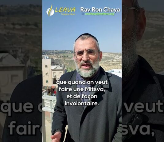 MULTIPLIER par 100 le mérite d’une seule MITSVA, comment ? Les vidéos LIVE du Rav Ron CHAYA