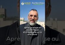 TOUS ENSEMBLE … FAISONS TÉCHOUVA !! Les vidéos LIVE du Rav Ron CHAYA