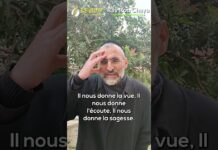 HACHEM NOUS AIME ! Les vidéos LIVE du Rav Ron Chaya depuis Jérusalem