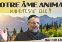NOTRE ÂME ANIMALE : MAUDITE SOIT-ELLE !!