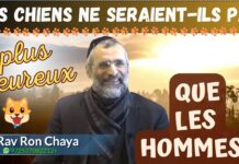 Les CHIENS ne seraient-ils pas plus HEUREUX que les NOUS ?