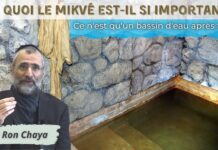 ⛲ Un BASSIN d’eau de pluie pour purifier nos ÂMES et nos CORPS ⁉️ C’est pas sérieux !!