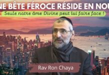 🦁 Une bête FÉROCE réside en nous … Seule notre ÂME DIVINE peut lui faire face !!