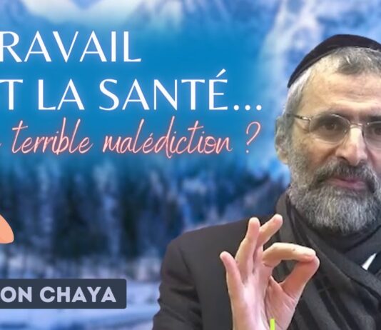 Le TRAVAIL c’est la santé … ou une terrible malédiction ?