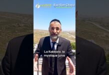 Vous voulez la PARNASSA, le BONHEUR, la RÉUSSITE ? Un conseil en OR !