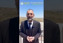 Une réunion au SOMMET qui aurait pu mal tournée !!