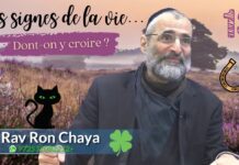 🐈⬛ Les signes prémonitoires … Doit-on y croire ? 🤞