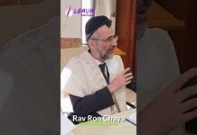 LE PETIT NOEUD DES TÉFILINES !