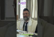 VIVRE DANS UNE VILLE D’IDOLÂTRIE ?