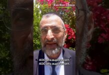 MOCHÉ RABBÉNOU CONTRE OG LE GÉANT !