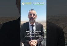 💵 UNE LIASSE DE BILLETS POUR UN VERRE DE THÉ 🫖