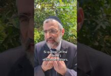 1️⃣ MILLION DE DOLLARS 💰 JUSTE POUR VOIR 👀 !!!