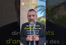 LA RENCONTRE DE NAPOLÉON AVEC LE GRAND SAGE DE VOLOJINE