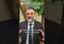 CAMÉRAS CACHÉES : NOUS SOMMES FILMÉS 24/24 !