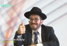 LA GRANDE ROUE DE LA VIE !