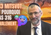 613 MITSVOT … ET POURQUOI PAS 316 FINALEMENT ?