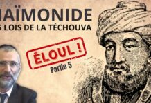 LE BOUC ÉMISSAIRE – LES LOIS DE LA TÉCHOUVA D’APRÈS LE RAMBAM – P5