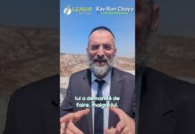 La morale biblique du Prophète JONAS : C’est D.IEU qui décide mais c’est NOUS qui agissons !