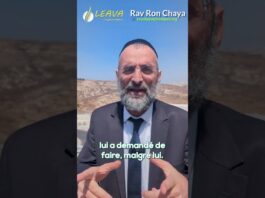 La morale biblique du Prophète JONAS : C’est D.IEU qui décide mais c’est NOUS qui agissons !