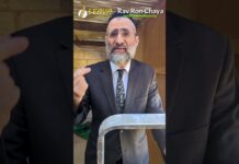 Comment attacher le TOIT (Skakh) de sa Soucca !? L’exemple LIVE avec le Rav Ron Chaya