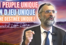 UN PEUPLE UNIQUE … UN D.IEU UNIQUE … UNE DESTINÉE UNIQUE ! Parachat LEKH LEKHA