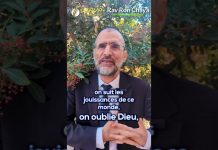 La leçon du moustique : Devenir des Anges de D.IEU