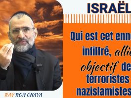 ISRAËL : Qui est cet ennemi infiltré, allié objectif des terroristes nazislamistes
