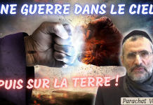 LA GUERRE DANS LE CIEL , PUIS LA GUERRE SUR TERRE … PARACHAT VAYE’HI
