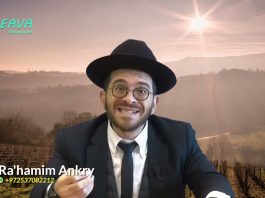 🛡️ UN BOUCLIER POUR AM ISRAËL ! 🎶