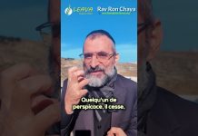 DE PRISONNIER À VICE-ROI D’ÉGYPTE 👑 : APPRENONS DE YOSSEF HATSADIK !