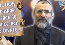LE LION D’ISRAËL FACE AU VICE-ROI D’ÉGYPTE : Un avant goût de la fin des temps …!