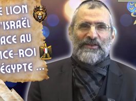 LE LION D’ISRAËL FACE AU VICE-ROI D’ÉGYPTE : Un avant goût de la fin des temps …!