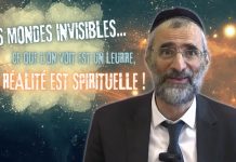 LES MONDES INVISIBLES … CE QUE L’ON VOIT EST UN LEURRE … LA RÉALITÉ EST SPIRITUELLE !